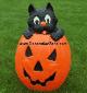 Cat in a Pumpkin