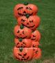 Pumpkin Cluster