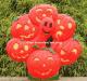 Halloween Pumpkin Wreath with Orange Ghost