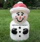 Jolly Snowman with Carrot Nose