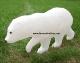 Walking Polar Bear