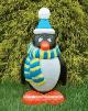 Penguin Wearing a Blue and Yellow Scarf