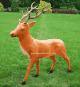 Reindeer with Antlers - Brown