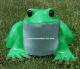 Garden Frog