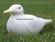 Garden Seagull