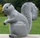 Garden Squirrel