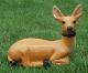 Garden Deer - Fawn