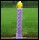 Birthday Party Candles